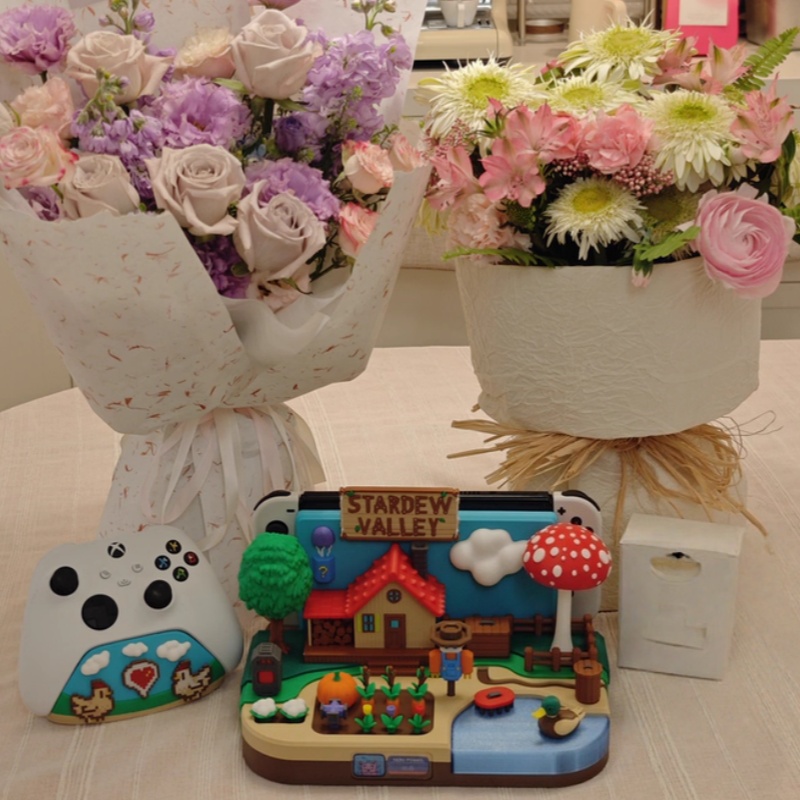 Switch Dock Stardew Valley Far - Gaming Console Holder recension och pris